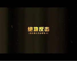 反击2017